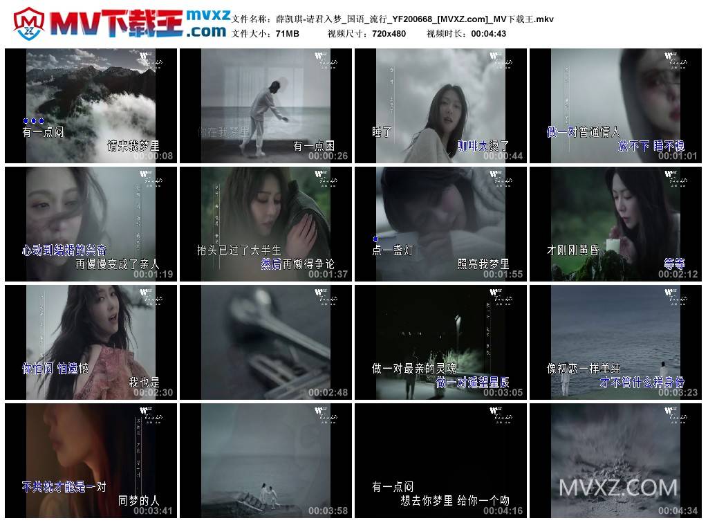 薛凯琪-请君入梦_国语_流行_YF200668